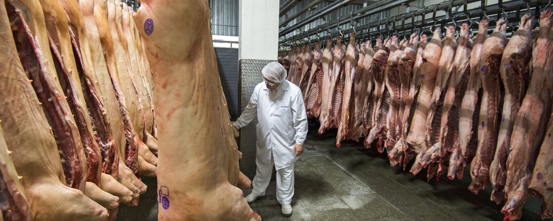 中国海关总署代表团将于12月4日抵达俄罗斯，对有意出口中国的猪肉生产企业进行检查 - 俄罗斯卫星通讯社, 1920, 01.12.2023