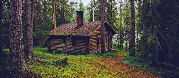 芬兰宣布为梦想像当地人一样生活的游客举办竞赛 芬兰宣布为梦想像当地人一样生活的游客举办竞赛 - 俄罗斯卫星通讯社
