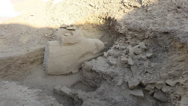 В Египте нашли сфинкса с головой барана - 俄羅斯衛星通訊社