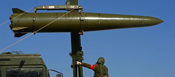 欧洲议会副主席：《中导条约》破裂对欧洲来说是“坏消息” - 俄罗斯卫星通讯社