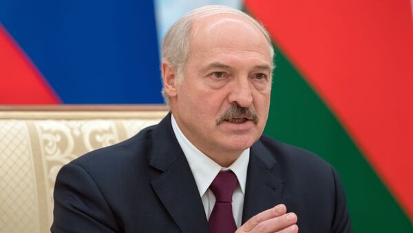 白俄罗斯总统卢卡申科 - 俄罗斯卫星通讯社