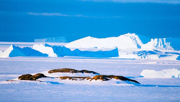 專家：南極氣溫零上天數或增加一倍達130天 - 俄羅斯衛星通訊社