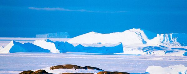 专家：南极气温零上天数或增加一倍达130天 - 俄罗斯卫星通讯社