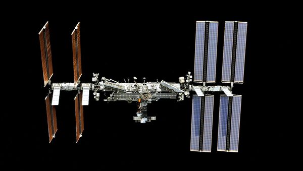 国际空间站俄罗斯舱段将安装监控摄像头 - 俄罗斯卫星通讯社