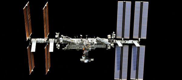 进步MS-12号飞船将向国际空间站输送水果和调料 - 俄罗斯卫星通讯社