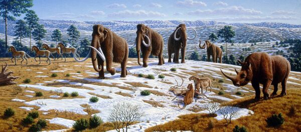 俄日科學家正努力試圖復活猛獁象 俄日科學家正努力試圖復活猛獁象 - 俄羅斯衛星通訊社