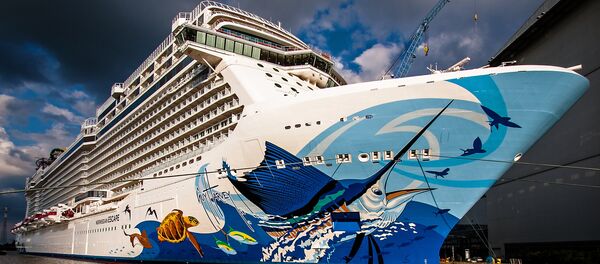 一艘邮轮在巴哈马群岛附近险被阵风掀翻 - 俄罗斯卫星通讯社