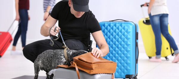 Досмотр багажа в аэропорту - 俄罗斯卫星通讯社