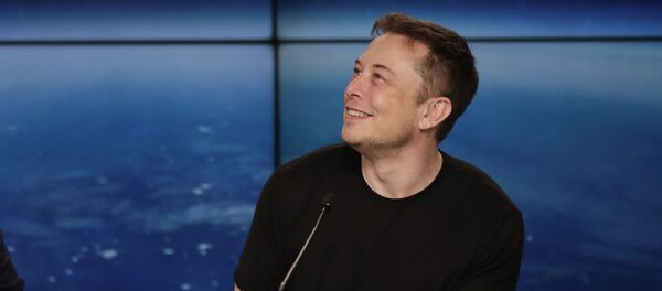 马斯克 - 俄罗斯卫星通讯社