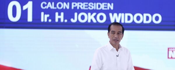 印尼请求设立“一带一路”专项基金是减少投资合作被政治化的尝试 - 俄罗斯卫星通讯社