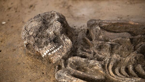 考古學家在巴伐利亞找到年齡為6500歲的人骨架 - 俄羅斯衛星通訊社