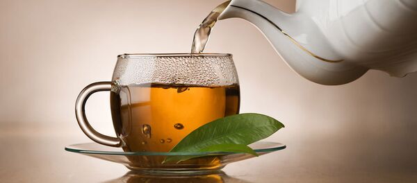 Зеленый чай - 俄罗斯卫星通讯社