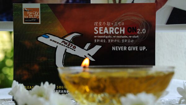MH370的失事地点或有他处 - 俄罗斯卫星通讯社