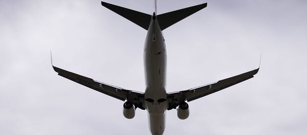 波音737 - 俄罗斯卫星通讯社