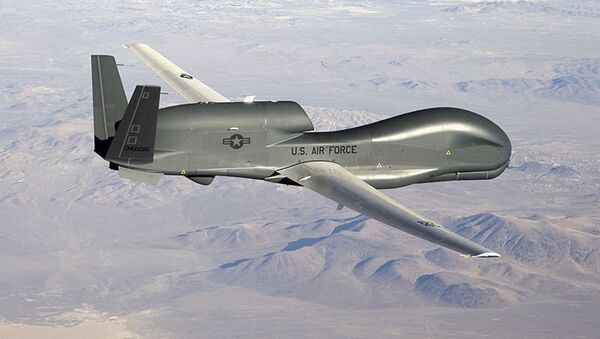 Американский стратегический разведывательный БПЛА RQ-4 Global Hawk - 俄罗斯卫星通讯社