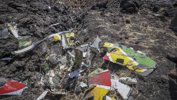 Обломки на месте крушения самолета авиакомпании Ethiopian Airlines - 俄罗斯卫星通讯社