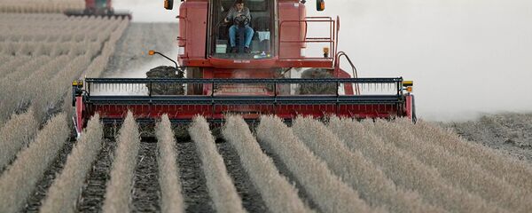 中国外交部： 农产品贸易是中美两国需要讨论的重要问题 - 俄罗斯卫星通讯社