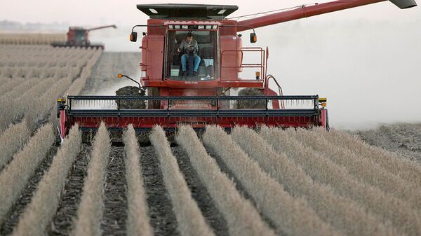 Американские фермеры собирают урожай соевых бобов в штате Айова - 俄罗斯卫星通讯社