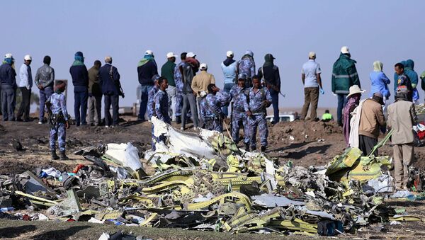 美媒：埃航坠机事故中遇难的飞行员遵循事故操作手册 - 俄罗斯卫星通讯社
