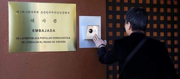 媒体: 马德里警方发现朝鲜大使馆内有大量武器 - 俄罗斯卫星通讯社
