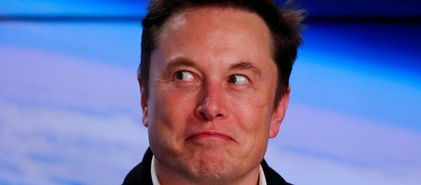 埃隆·马斯克将英国伊莉莎白二世女王比作天线宝宝 - 俄罗斯卫星通讯社