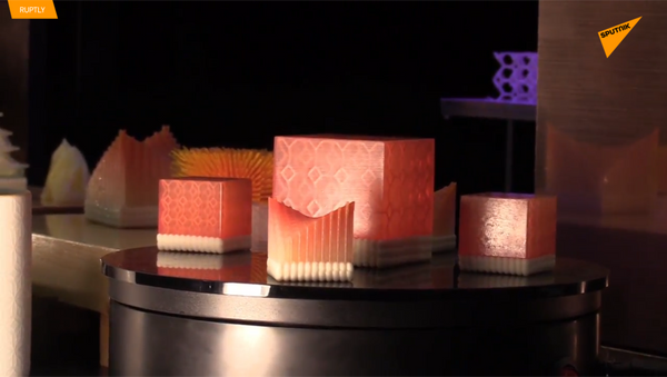 日本一公司推出3D打印寿司 - 俄罗斯卫星通讯社