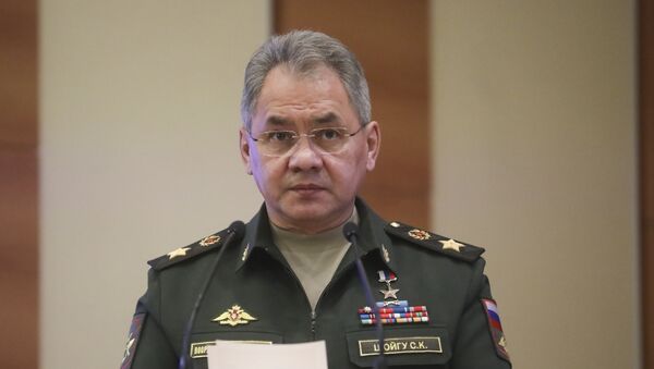 俄国防部长绍伊古 - 俄罗斯卫星通讯社