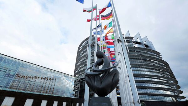 欧洲议会决议呼吁不再将俄罗斯视为战略伙伴 - 俄罗斯卫星通讯社