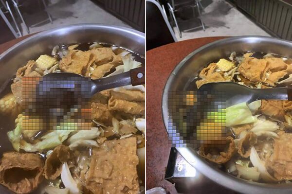 台湾一火锅店把一只死老鼠“送”给食客 台湾一火锅店把一只死老鼠“送”给食客 - 俄罗斯卫星通讯社