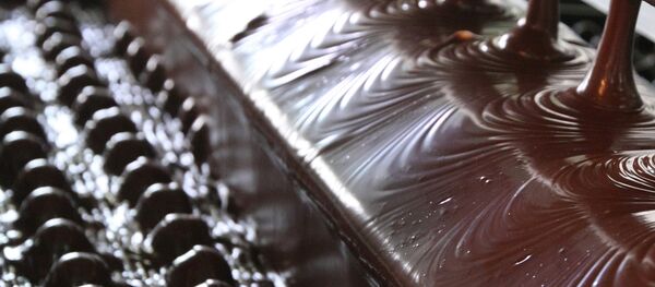 巧克力生產車間 - 俄羅斯衛星通訊社