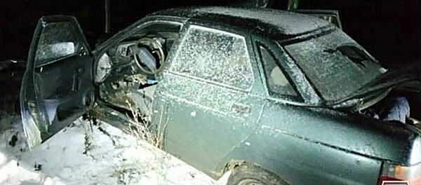 俄国家反恐委员会：“伊斯兰国”2名计划发动恐袭的支持者在俄南部被消灭 - 俄罗斯卫星通讯社