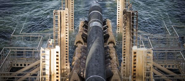 普京:俄方愿将“北溪-2”项目进行到底 普京:俄方愿将“北溪-2”项目进行到底 - 俄罗斯卫星通讯社