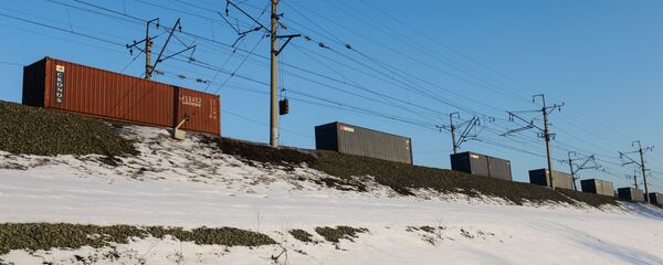 Грузовой поезд следует по одному из ответвлений Транссибирской железнодорожной магистрали вблизи Новосибирска - 俄罗斯卫星通讯社