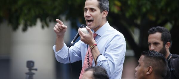 瓜伊多 - 俄罗斯卫星通讯社