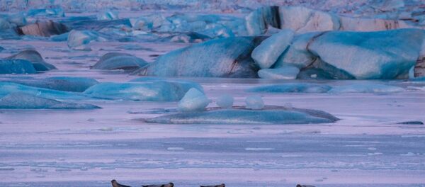 Таяние ледника - 俄罗斯卫星通讯社