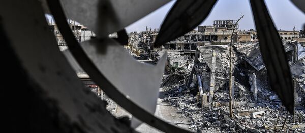 俄总统叙问题特别代表：打击叙境内恐怖分子的问题并未从议程中删除 - 俄罗斯卫星通讯社