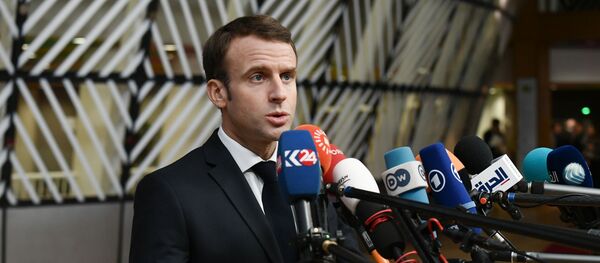 马克龙指责黄背心企图摧毁共和国 马克龙指责黄背心企图摧毁共和国 - 俄罗斯卫星通讯社