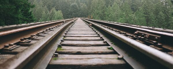 Железная дорога в лесу - 俄罗斯卫星通讯社