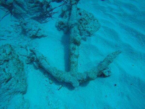 尼罗河底首现希罗多德描述的古埃及商船 - 俄罗斯卫星通讯社