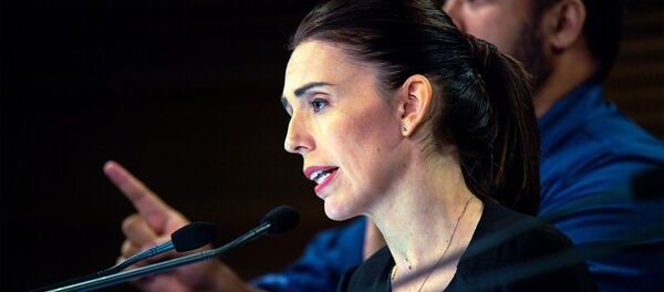 新西兰总理亚辛达·阿尔登 新西兰总理亚辛达·阿尔登 - 俄罗斯卫星通讯社