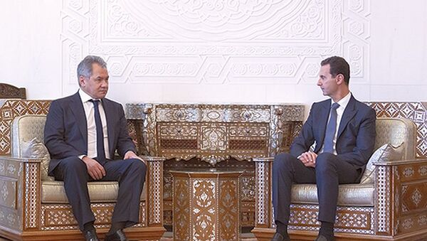 叙利亚总统：叙俄两国在政治军事领域的协调达到很高水平 - 俄罗斯卫星通讯社