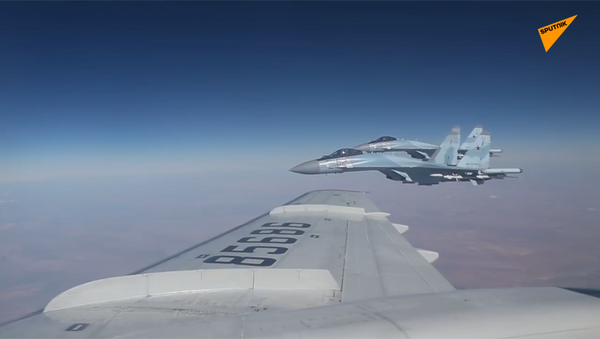 俄罗斯国防部发布一段绍伊古在叙上空飞行视频 - 俄罗斯卫星通讯社