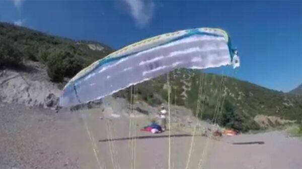 滑翔傘愛好者拍下險與鳥相撞視頻 - 俄羅斯衛星通訊社
