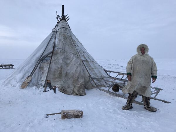 瓦朗斯先生在涅涅茨帳篷旁 瓦朗斯先生在涅涅茨帳篷旁 - 俄羅斯衛星通訊社