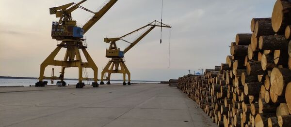 同江港将加强与哈巴和下列港口深度合作 深化对俄贸易 - 俄罗斯卫星通讯社