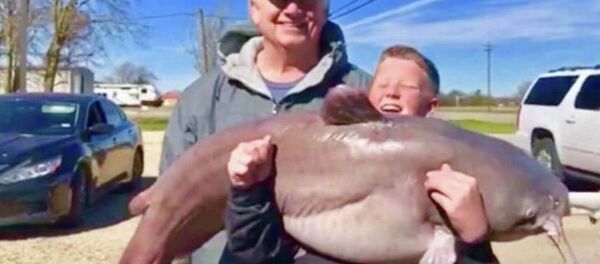 美國一男孩創紀錄捕到一條重達30公斤的魚 - 俄羅斯衛星通訊社