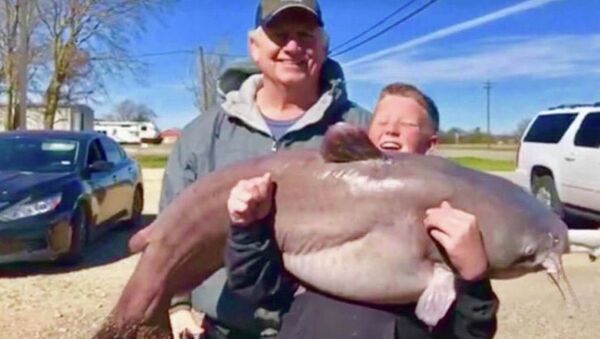 美国一男孩创纪录捕到一条重达30公斤的鱼 - 俄罗斯卫星通讯社