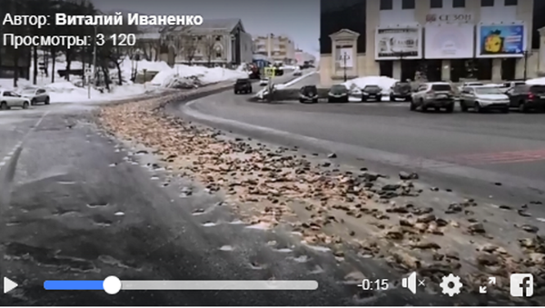 大约8吨的鱼类废料被倒在堪察加彼得巴甫洛夫斯克的路上 - 俄罗斯卫星通讯社