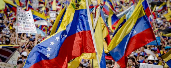 土耳其和玻利维亚两国总统反对美国干预委内瑞拉事务 - 俄罗斯卫星通讯社