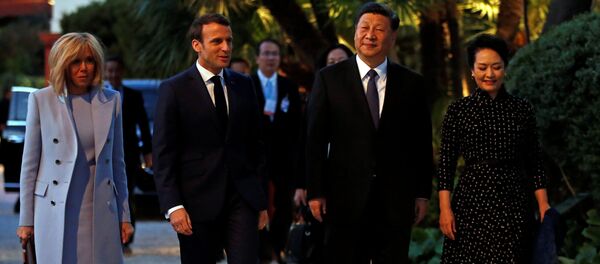 法国总统马克龙：欧盟和中国将签订产品地理标志保护协议 - 俄罗斯卫星通讯社